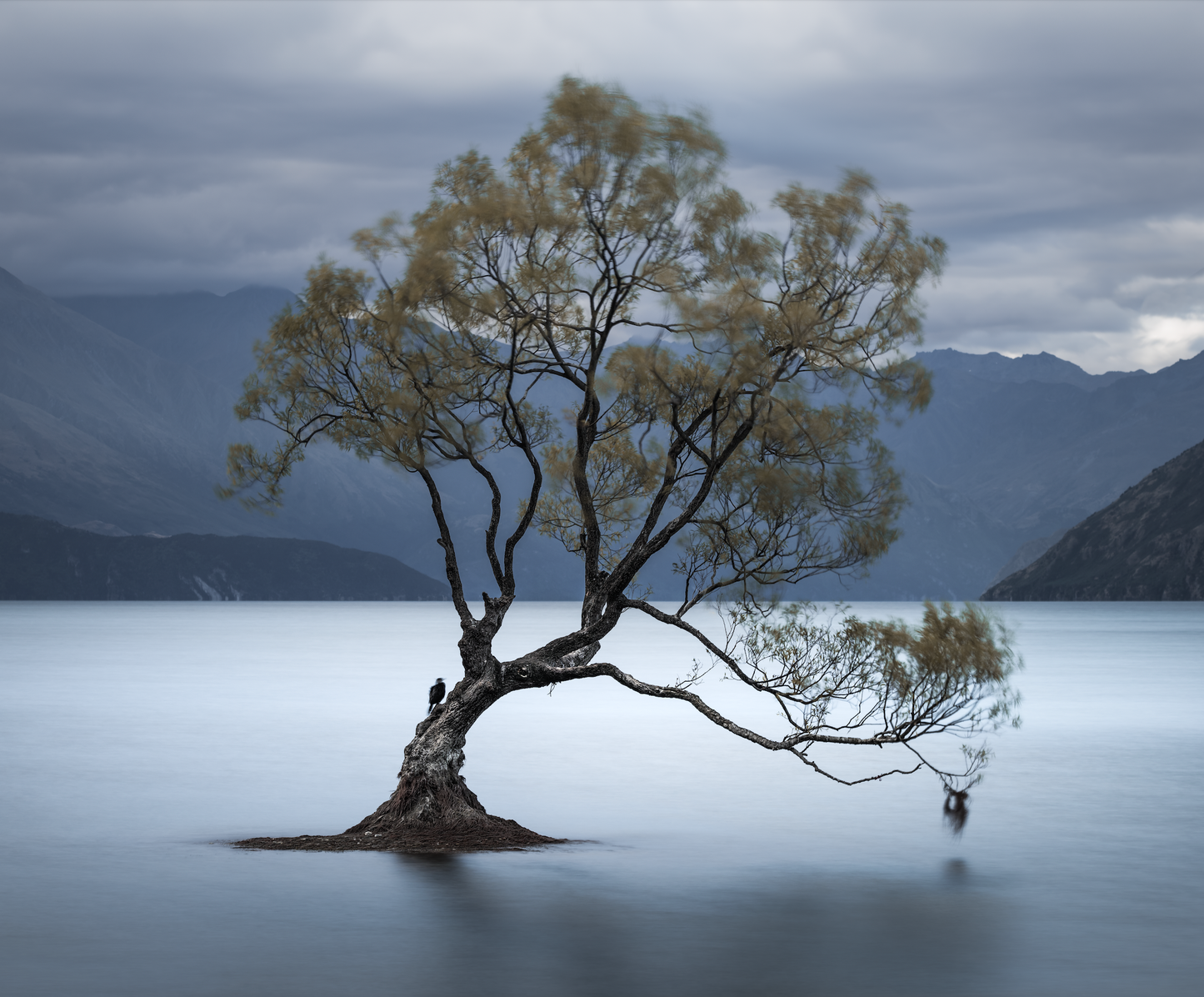 Wanaka