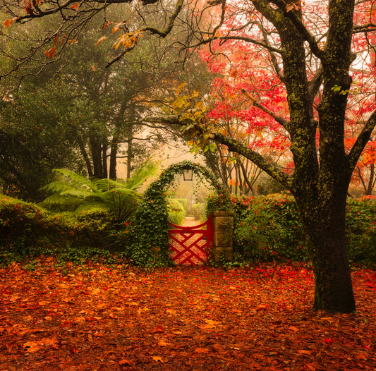Bebeah Gate
