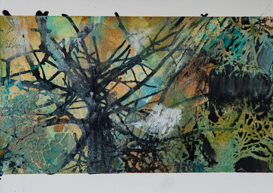 Old Growth