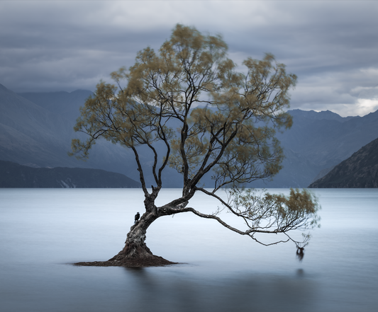 Wanaka